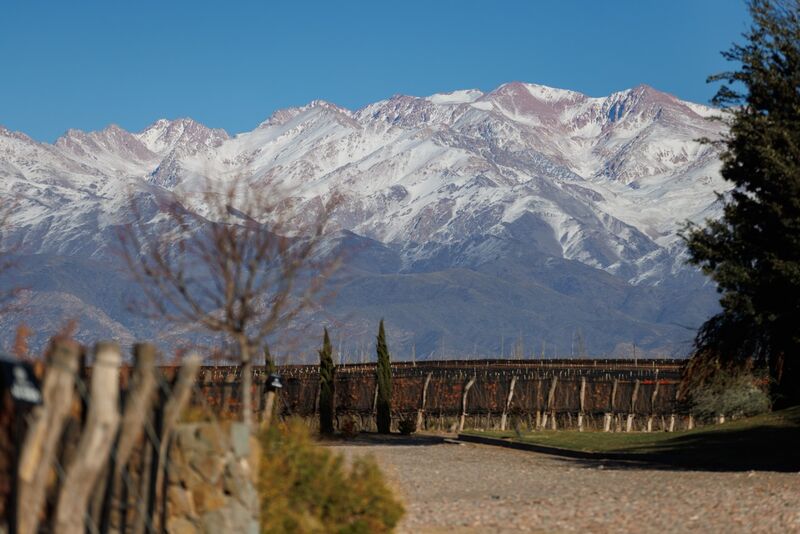 Cordilheira dos Andes nevada vista desde os vinhedos da Huentala Wines